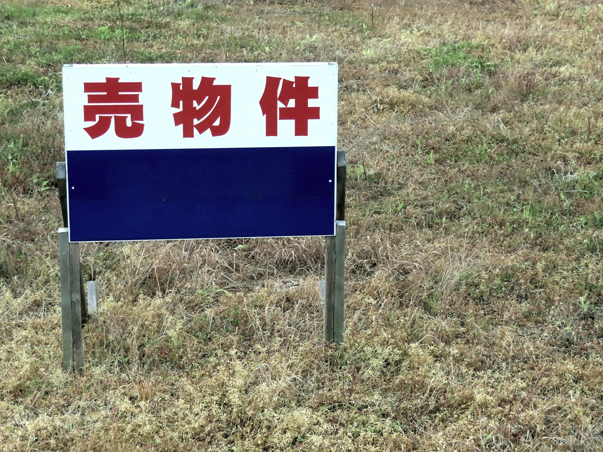 媒介契約を選んで売却を進める